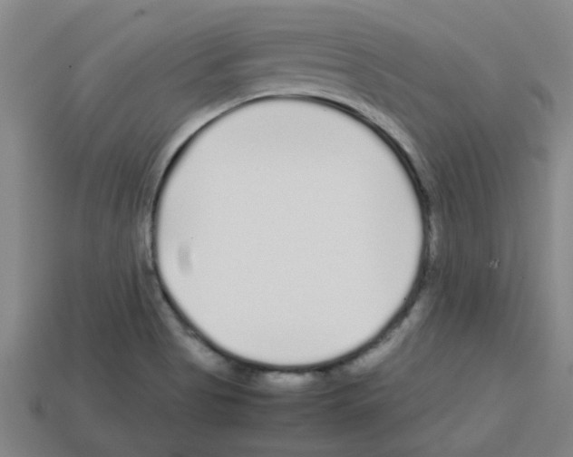 X0000112751513200910011143