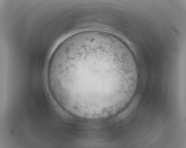 X0000112751514200910011143