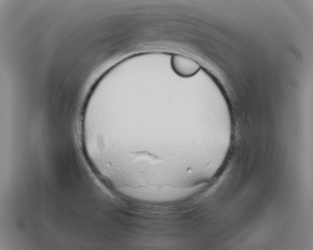 X0000112751517200910011143