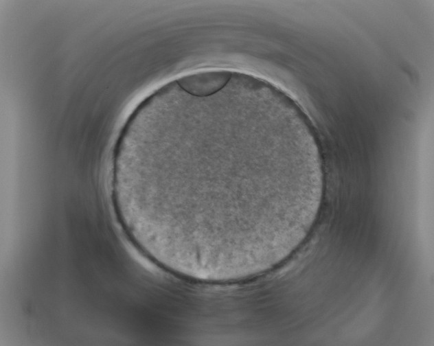 X0000112751519200910011143