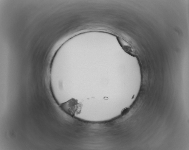 X0000112751520200910011143