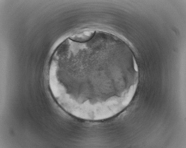 X0000112751522200910011143