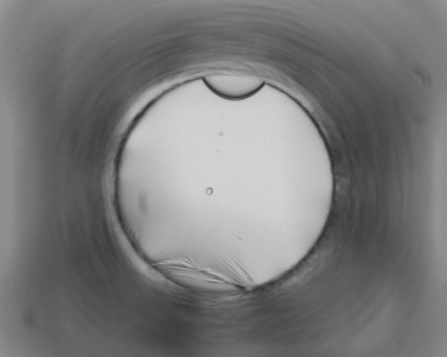 X0000112751523200910011143