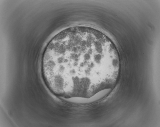 X0000112751525200910011143