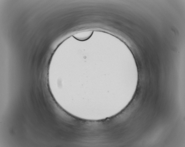 X0000112751526200910011143