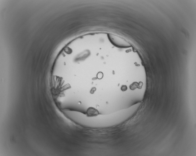 X0000112751527200910011143