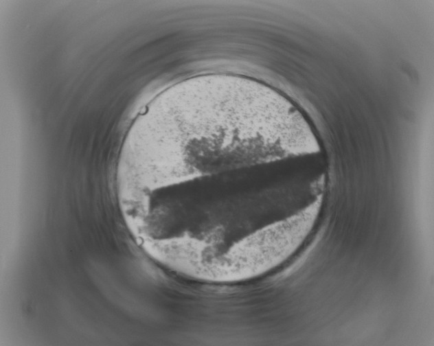 X0000112751529200910011143