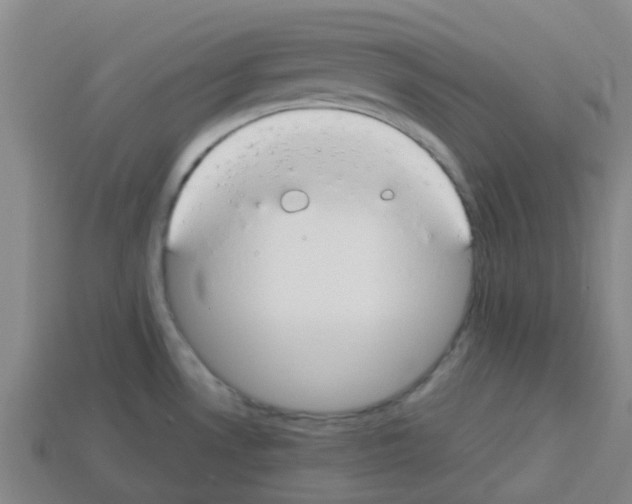 X0000112751530200910011143