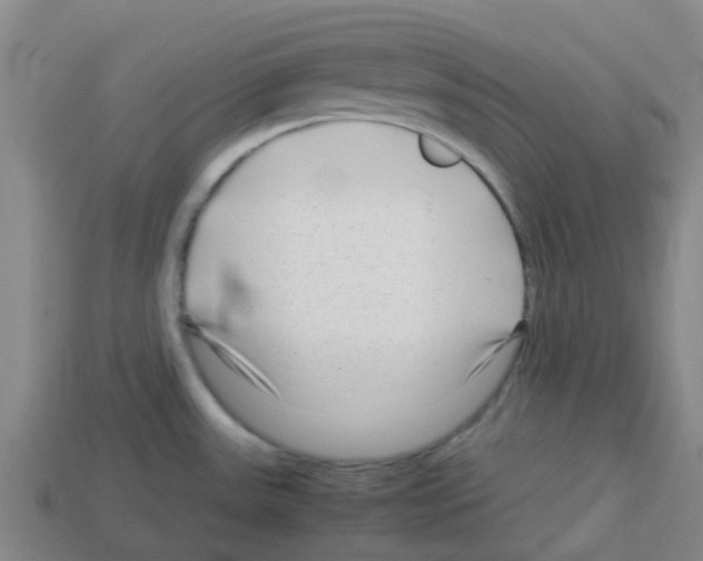 X0000112751531200910011143