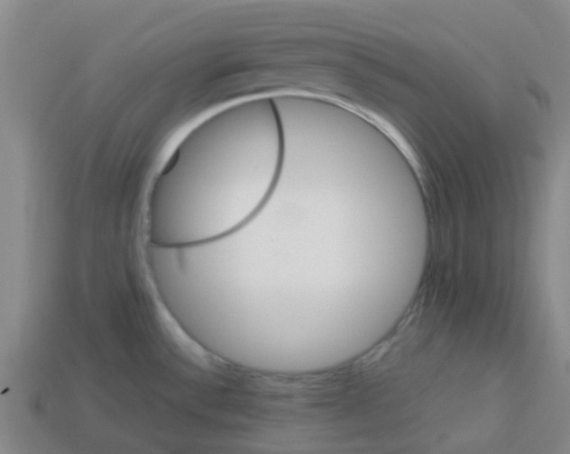 X0000112751532200910011143