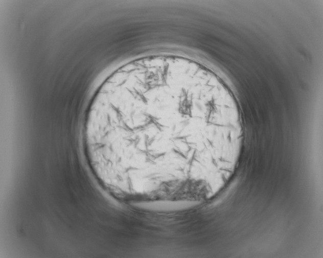 X0000112751533200910011143