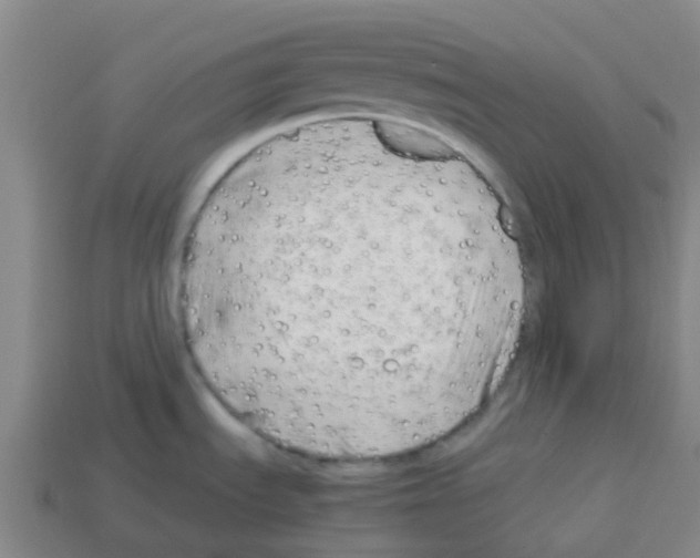 X0000112751535200910011143