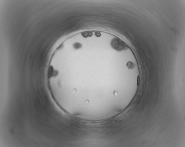 X0000112751536200910011143