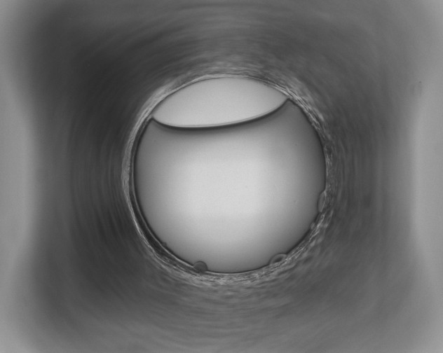 X0000112760003200908201043