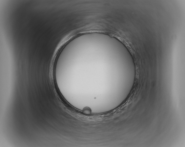 X0000112760004200908201043