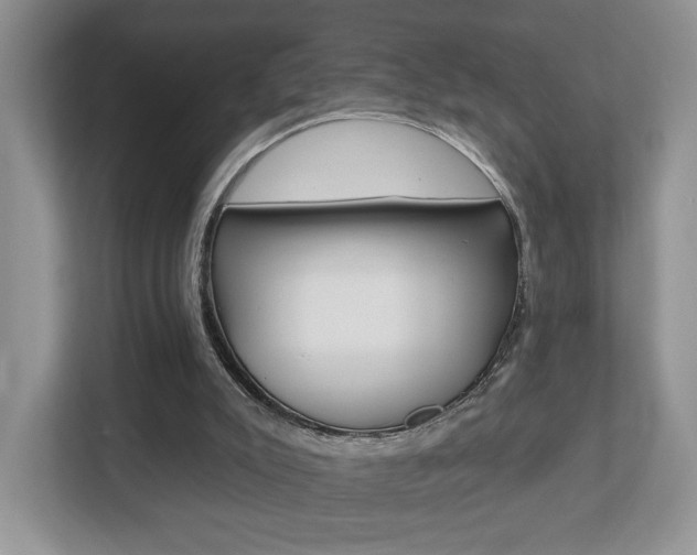 X0000112760007200908201043