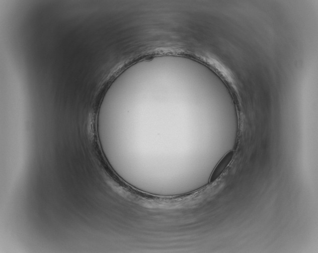 X0000112760009200908201043