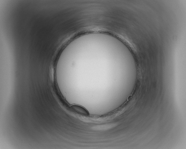 X0000112760014200908201043