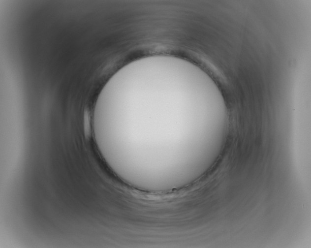 X0000112760022200908201043