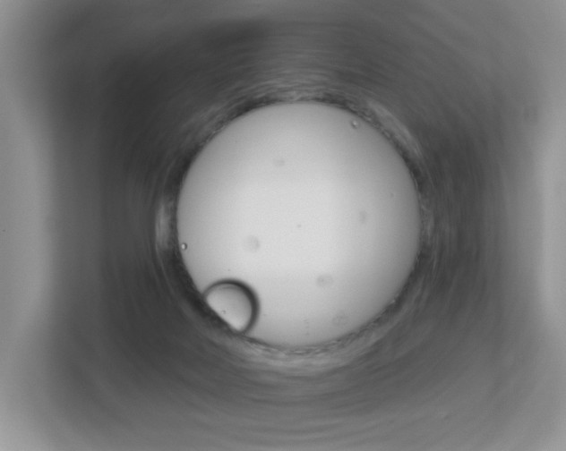 X0000112760026200908201043