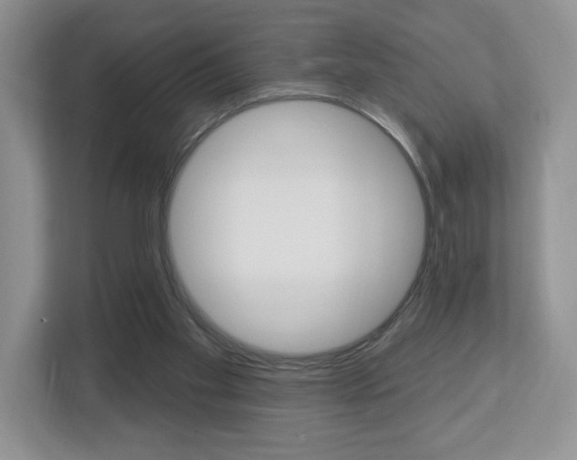 X0000112760109200908201041