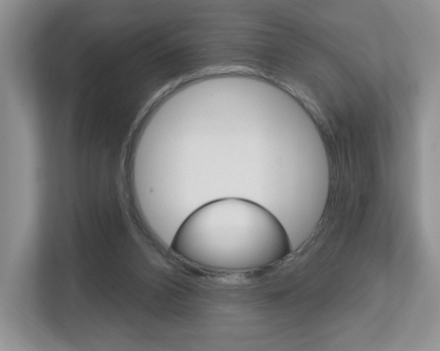 X0000112760112200908201041