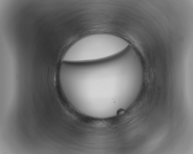 X0000112760115200908201041