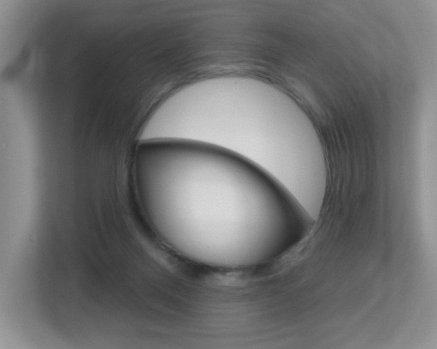 X0000112760120200908201041