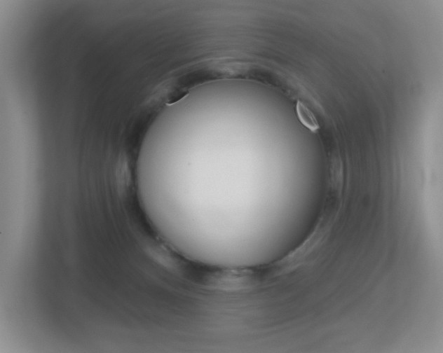 X0000112760128200908201041