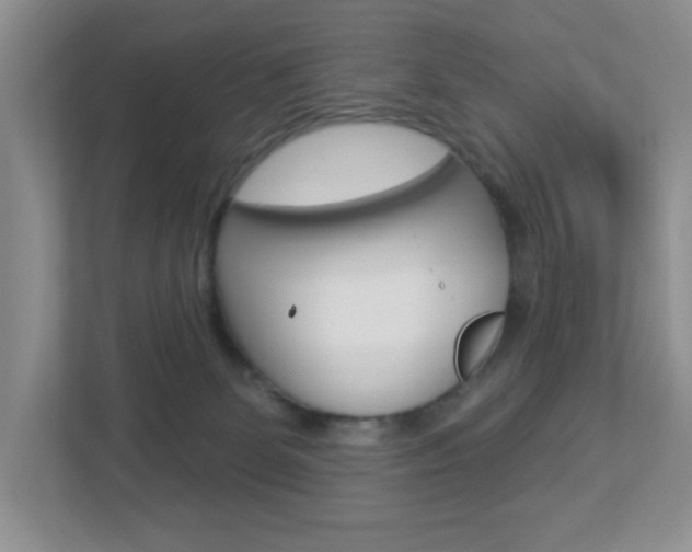 X0000112760131200908201041