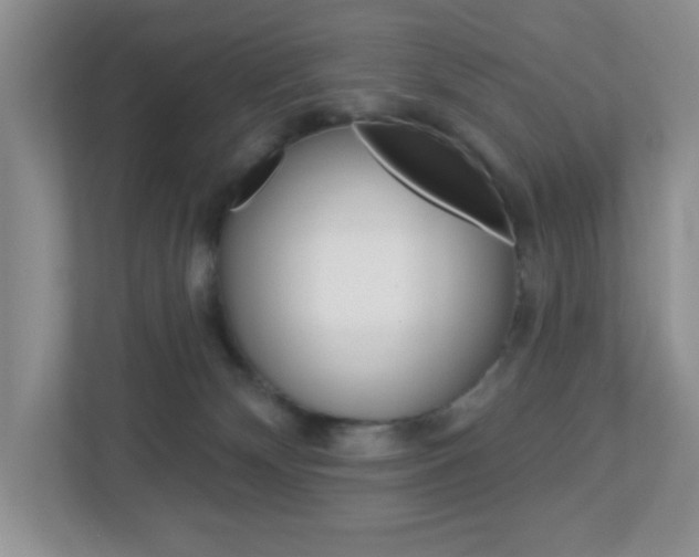 X0000112760132200908201041