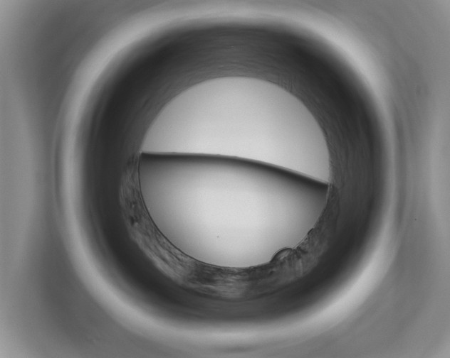 X0000112760143200908201041
