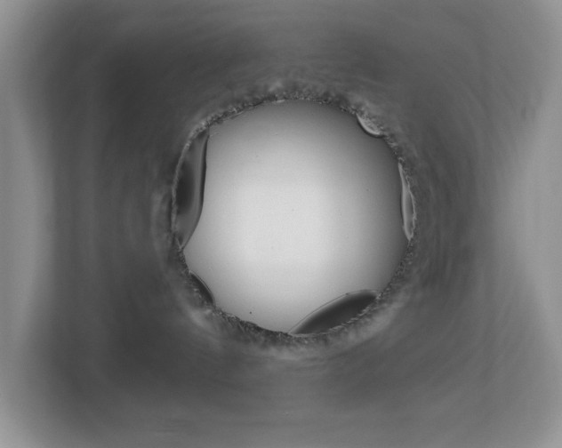 X0000112760144200908201041