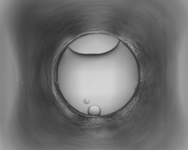 X0000112760145200908201040