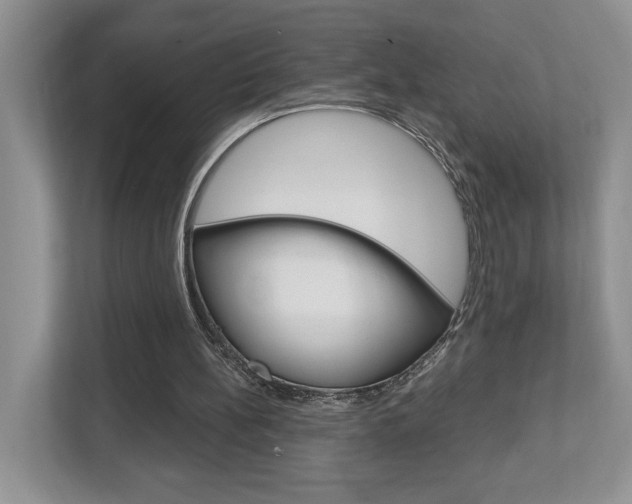 X0000112760148200908201040