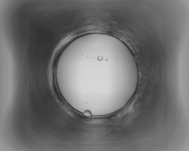 X0000112760149200908201040