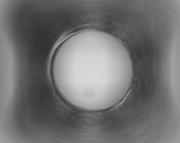 X0000112760150200908201040