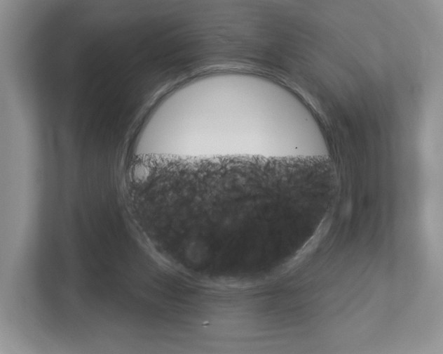 X0000112760159200908201041