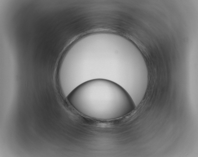X0000112760160200908201041