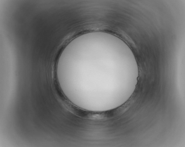 X0000112760163200908201041
