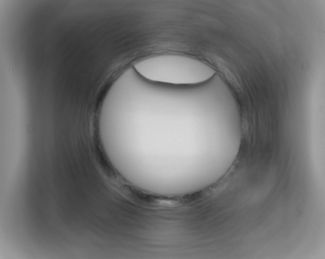 X0000112760167200908201041