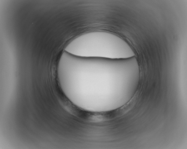 X0000112760171200908201041