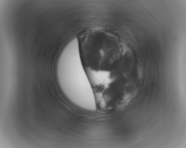 X0000112760179200908201041