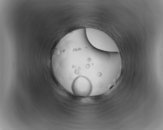 X0000112760183200908201041