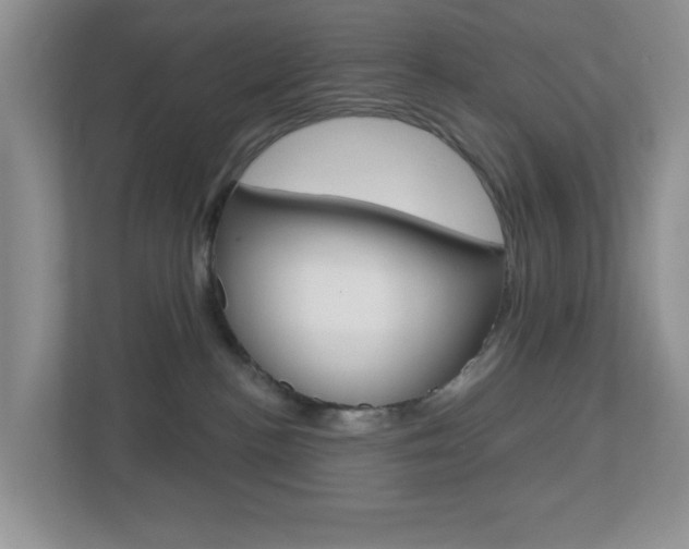 X0000112760188200908201041