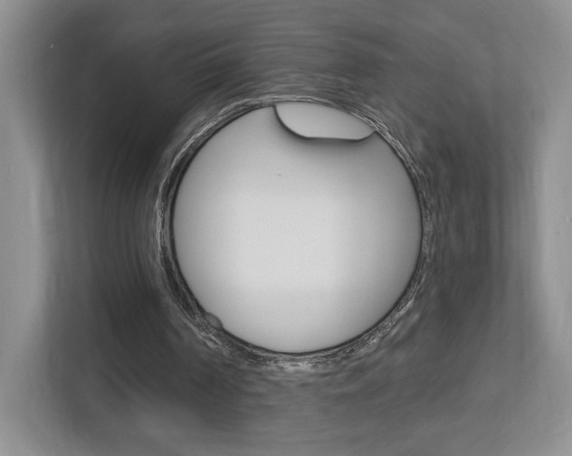 X0000112760194200908201040