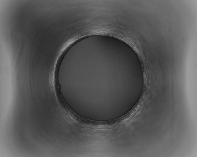 X0000112760196200908201040