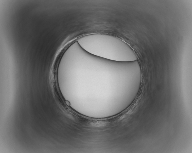 X0000112760198200908201040