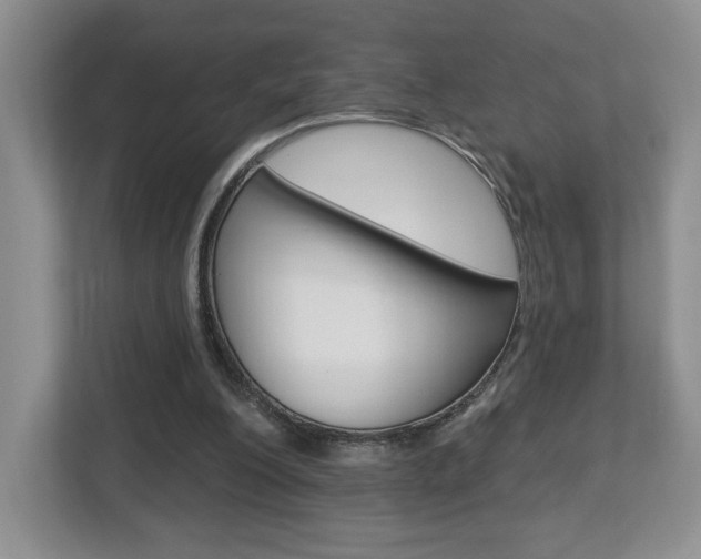 X0000112760200200908201040