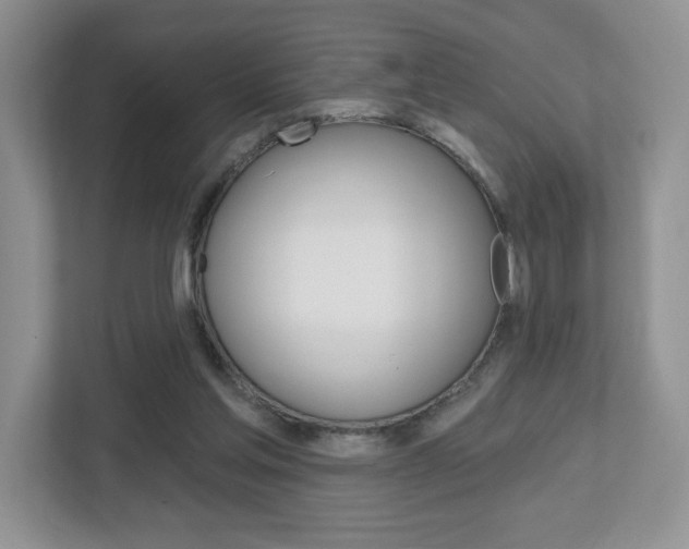 X0000112760205200908201040